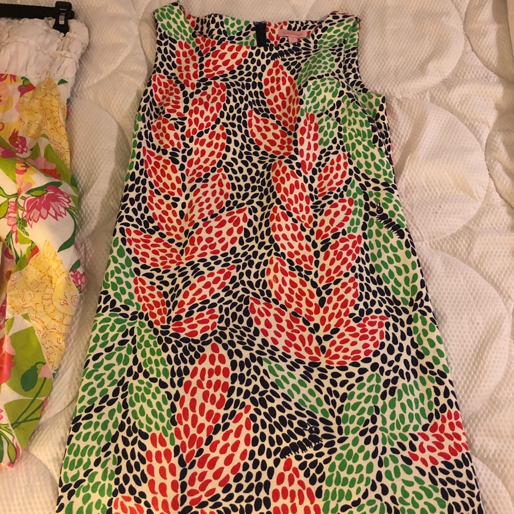 Lilly Pulitzer dress